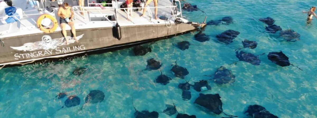 Catamaran Snorkeling. Your New Favorite Excursion.