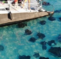 Catamaran Snorkeling. Your New Favorite Excursion.