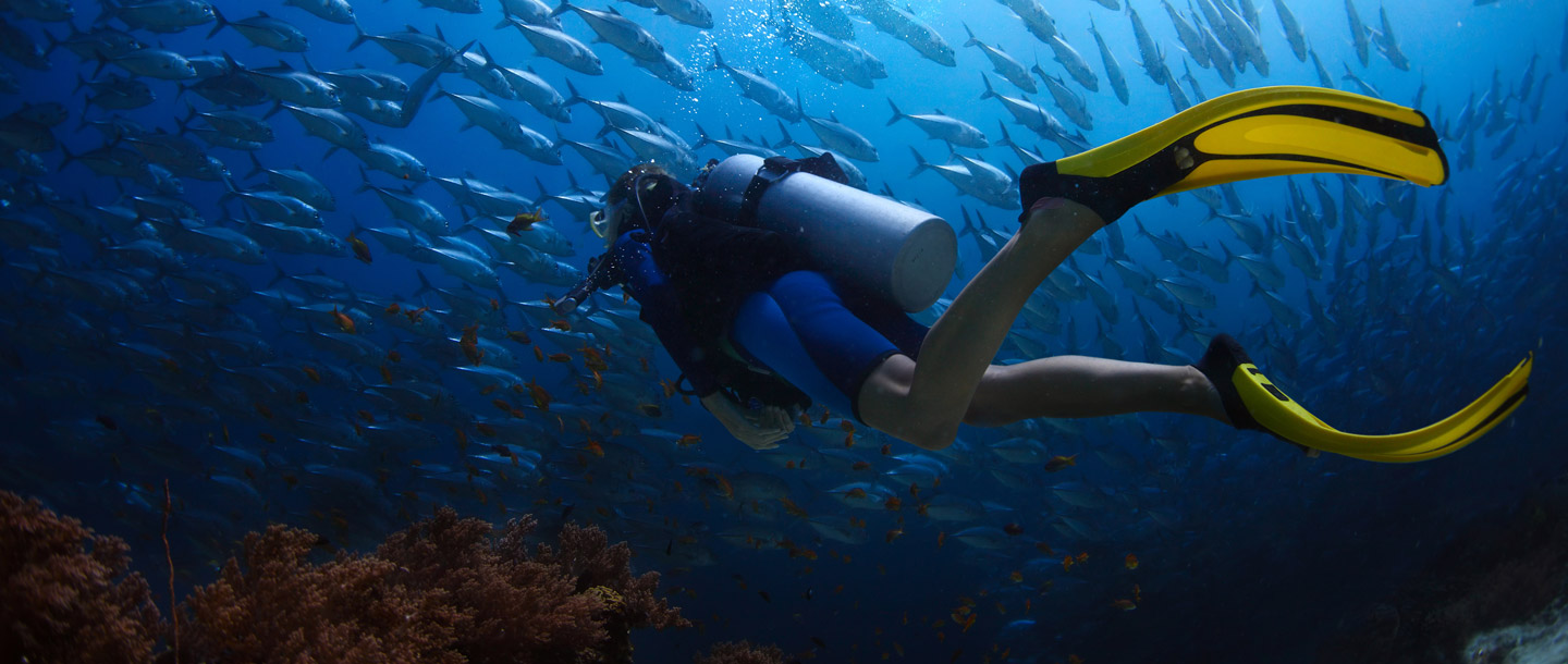 Dive-Grand-Cayman-new