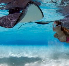 Stingray City Excursions