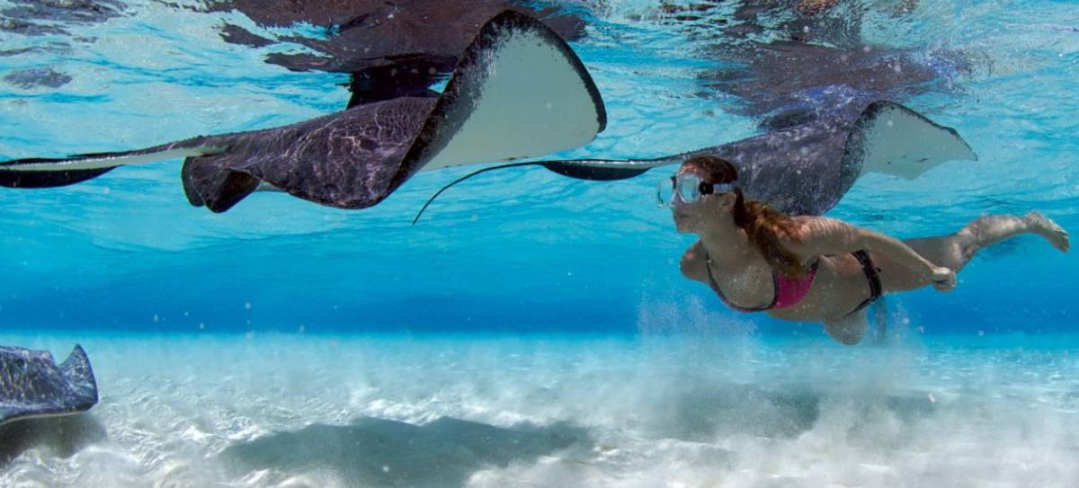 Stingray City Excursions