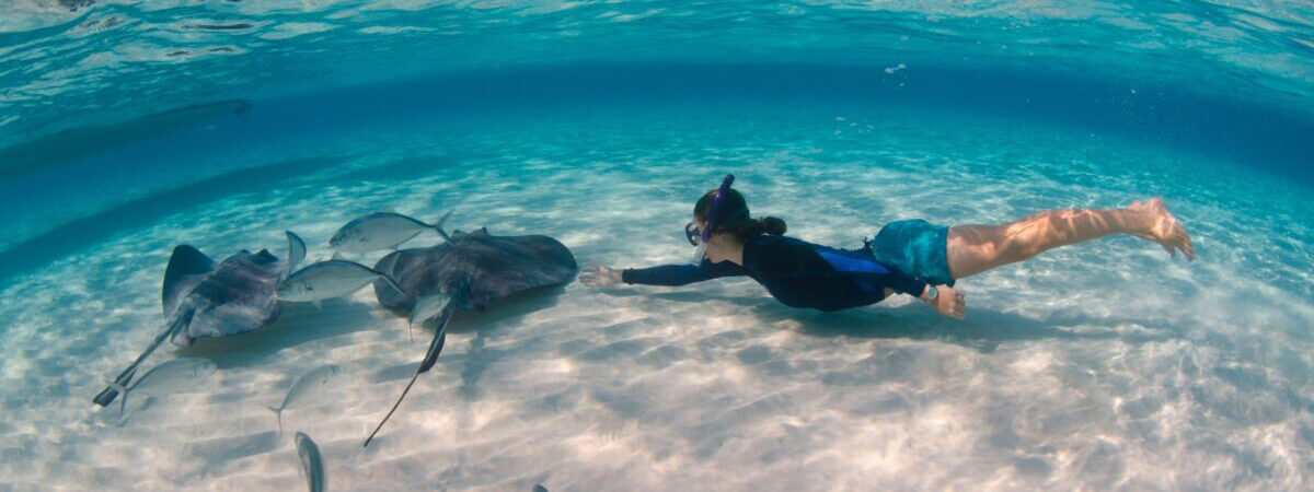 Top3_Best_Cayman_Island_Tours_banner